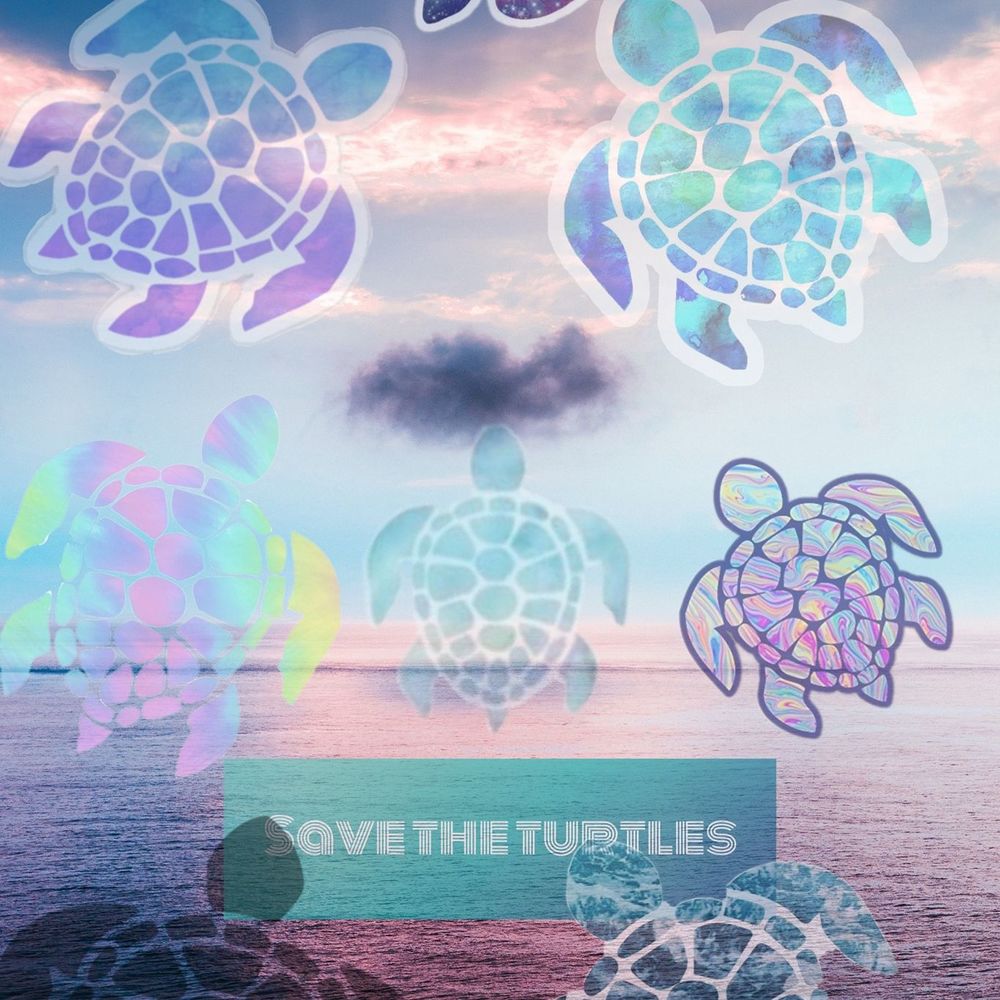 Meet your Posher, Sidney